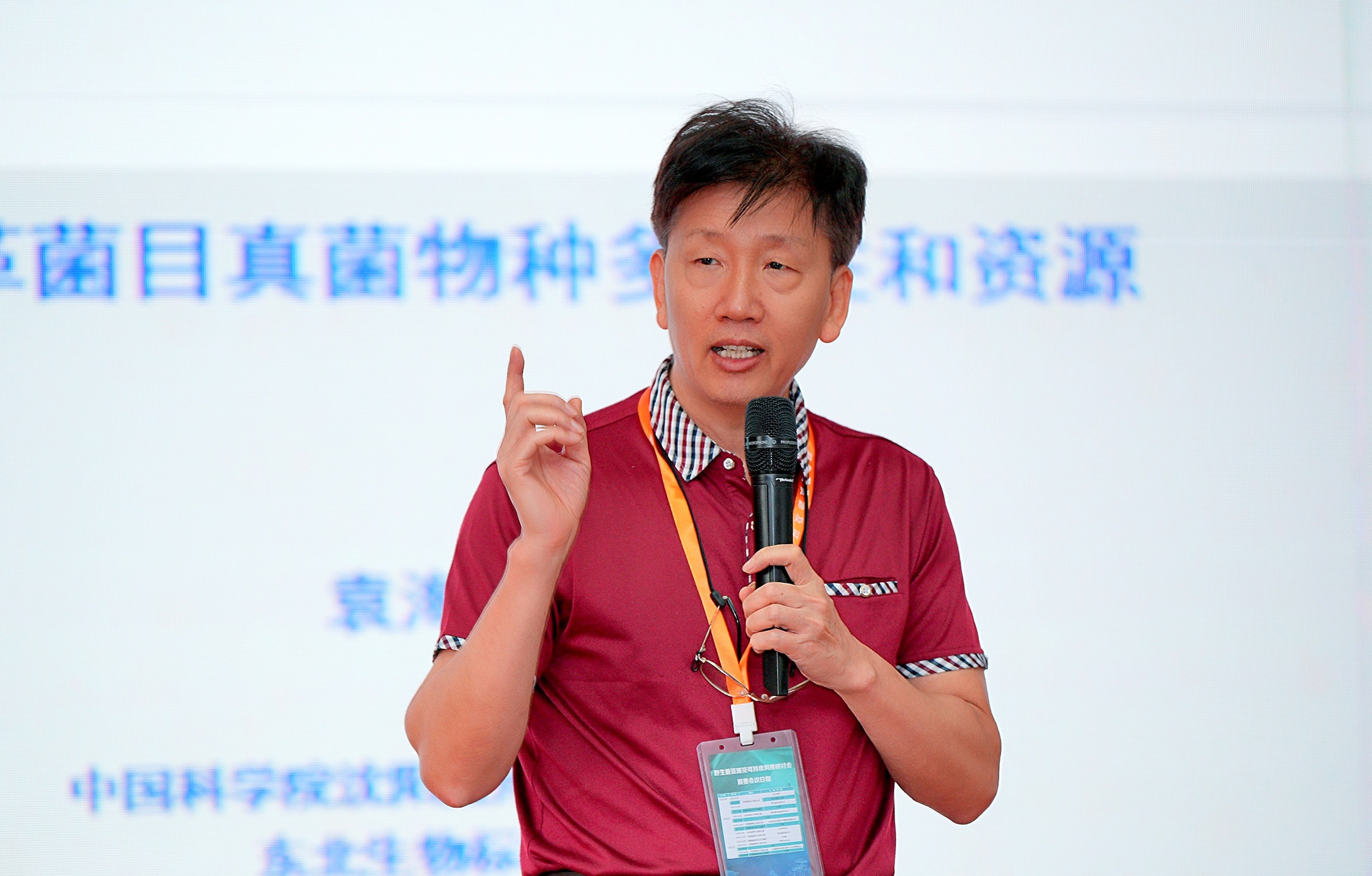 Taihui Li