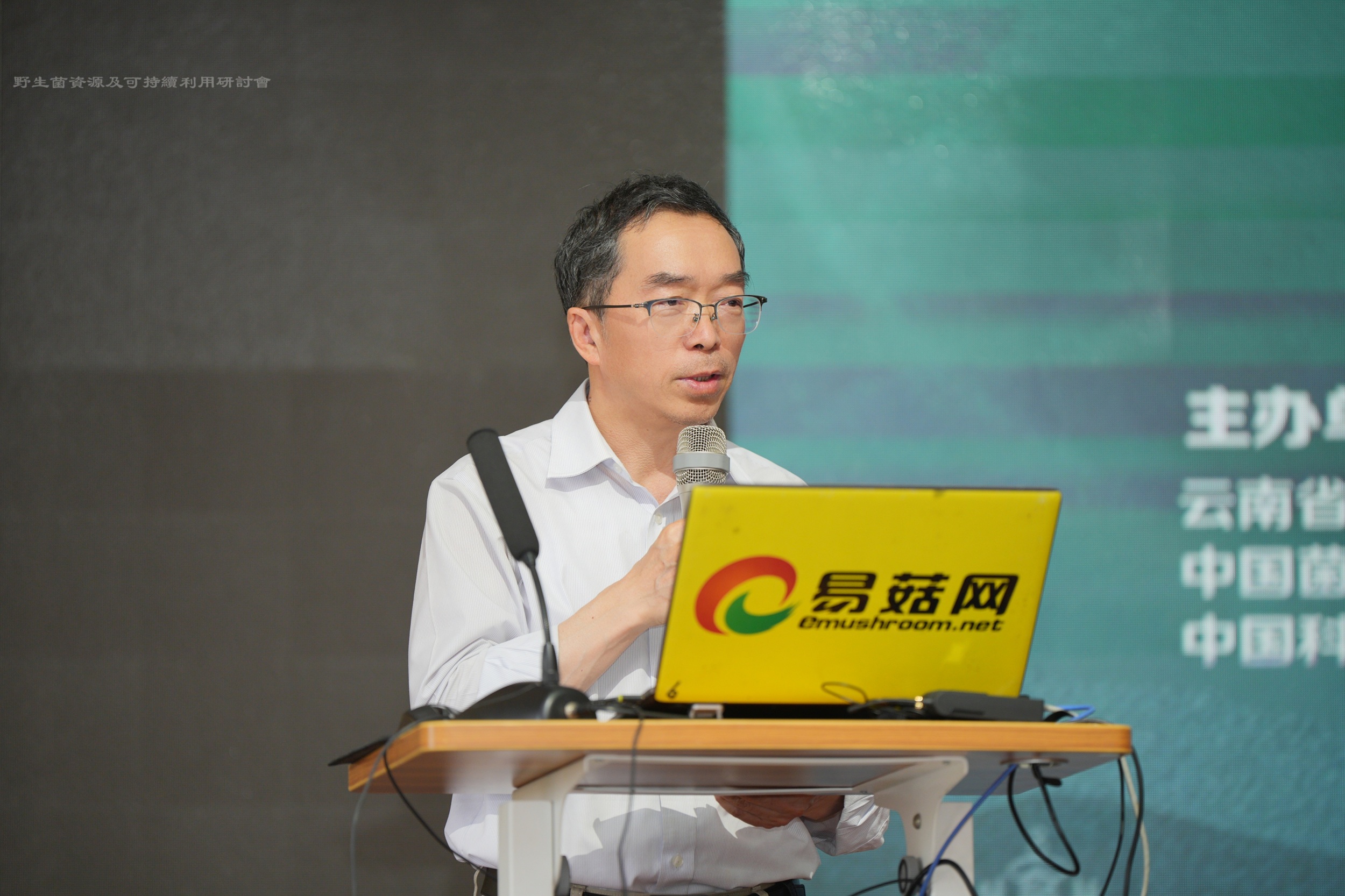 Zhuliang Yang