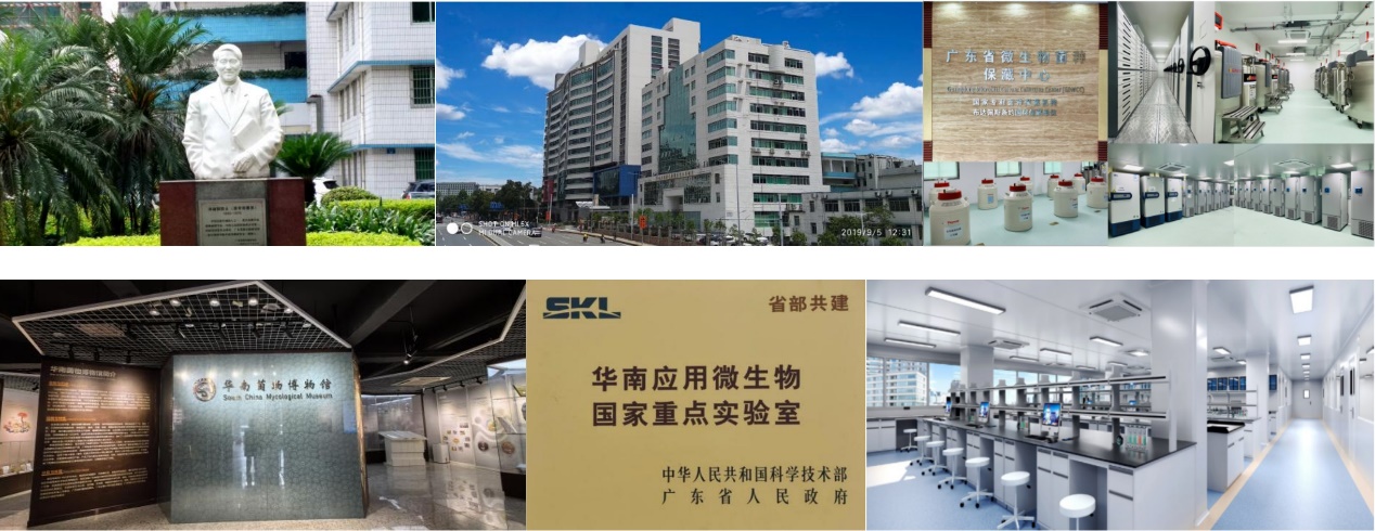 图片5.jpg